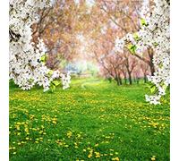 AOFOTO 5x5ft Spring Scenic Backdrop Sweet White Cherry Flowers Photography Background Meadow Floral Blossoms Garden Florets Grassland Park Flower Trees Kid Baby Portrait Photo Shoot Studio Props Vinly