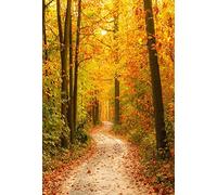 AOFOTO 5x7ft Fall Forest Path Photography Studio Backdrop Autumn Park Scenic Background Woods Fallen Leaves Adult Kid Girl Boy Lovers Man Artistic Portrait Outdoor Travel Photoshoot Props Video Drape