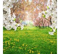 AOFOTO 6x6ft Spring Scenic Backdrop Sweet Flowers Photography Background Meadow Floral Blossoms Garden Florets Grassland Park Trees Kid Baby Portrait Photo Shoot Studio Props Video Wallpaper Drape