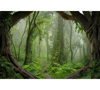AOFOTO 7x5ft Fantastic Forest Backdrop Spring Jungle Hiking Summer Woods Pathway Photography Background Misty Wonderland Trees Plant Suburbs Picnic Camping Girl Boy Scouts Adventure Photo Studio Props
