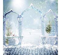 AOFOTO 8x8ft Winter Ice Archway Background Fairy Tale Snowing Princess Castle ICY Arch Door Portrait Photography Backdrop Vinyl Kid Adult Girl Baby Birthday Party Events Decoration Photo Booth Prop