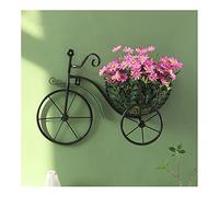 Aoguaro Black Metal Wall Planter, 43 cm (D) x 31 cm (W) x 12 cm (H), Unique Bicycle Design, Wall Mount, Home Decoration (Indoor/Outdoor)