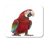 AOHOT Mouse Pads Red Parrot Green Winged Macaw Ara Chloropterus Year Old in Front of Blue Alone Mouse pad 9.5" x 7.9" for Notebooks,Desktop Computers Accessories Mini Office Supplies Mouse Mats