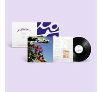 Aoife Nessa Frances - Protector [VINYL]