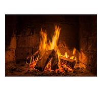 Aoihrraan 1,5x1m Burning Firewoods Backdrop Vintage Fireplace Flaming Wood Flame Photography Background Campfire Party Outdoor Camping Travel Barbecue Banner Kids Adults Portrait Photo Studio Props