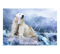 Aoihrraan 1,5x1m Polar Bear Backdrop Antarctica Symbolic Animals Glacier Ice Nature Scenery Photography Background Adventure Tour Theme Party Kids Boys Adult Artistic Portrait Photo Studio Props