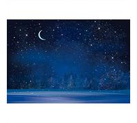 Aoihrraan 1,5x1m Romantic Night Stars Backdrop Forest Evening Dark Blue Starry Sky Space Moon Photography Background Baby Shower Announce Pregnancy Birthday Party Kids Children Portrait Photo Props