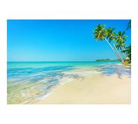 Aoihrraan 1,5x1m Tropical Beach Backdrop Seaside Summer Ocean Island Scenery Palm Trees Sunshine Seascape Photography Background Hawaiian Holiday Wedding Party Kids Adult Portrait Photo Studio Props