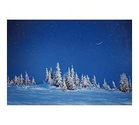Aoihrraan 1,5x1m Winter Forest Backdrop Snowfield Snow Covered Fir Pine Tree Forest Cold Frost Starry Sky Natural Scenery Photography Background Baby Shower Girl Boy Kids Portrait Photo Studio Props