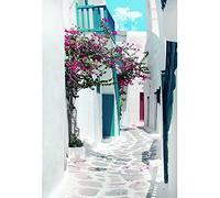 Aoihrraan 1,5x2,2m Greece Street Backdrop Spring Flowers Narrow Street Mediterranean Style Architecture Photography Background Wedding Decoration Children Adults Travel Portrait Photo Studio Props