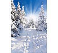 Aoihrraan 1,5x2,2m Winter Wonderland Backdrop Pine Trees Snowy Woods Sunshine Snowfield Landscape Photography Background Christmas New Year Family Holiday Outdoor Party Portrait Photo Studio Props