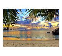 Aoihrraan 1,8x1,2m Summer Tropical Backdrop Hawaii Seaside Island Beach Rock Sunset Landscape Photography Background Vacation Holiday Travel Nature Scenery Kids Adult Portrait Photo Studio Props