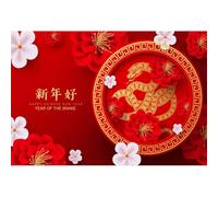 Aoihrraan 10x8ft Happy New Year Backdrop 2025 Red White Blooming Flowers Gold Pattern Snake Chinese Style Sparkling Photography Background Merry Christmas Eve Decoration Photo Studio Props