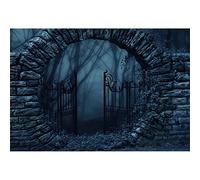 Aoihrraan 2,2x1,5m Halloween Graveyard Backdrop Gloomy Cemetery Stone Arch Iron Door Spooky Forest Photography Background Halloween Horrible Theme Party Children Adults Portrait Photo Studio Props