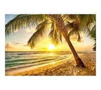 Aoihrraan 2,2x1,5m Summer Tropical Beach Backdrop Palm Trees Seaside Sunset Ocean Landscape Photography Background Summer Camp Wedding Video Party Decoration Kids Adults Portrait Photo Studio Props