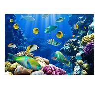 Aoihrraan 2,2x1,5m Underwater World Backdrop Aquarium Seabed Coral Fishes Blue Ocean Photography Background Summer Camp Diving Party Kids Birthday Cake Table Decoration Supplies Photo Studio Props