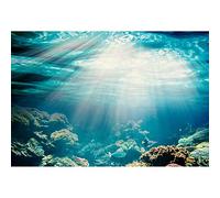 Aoihrraan 2,2x1,5m Underwater World Backdrop Seabed Scene Coral Reef Fishes Sunshine Undersea Seaview Photography Background Aquarium Decoration Fish Tank Marine Themed Party Photo Studio Prop Vinyl