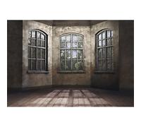 Aoihrraan 2,2x1,5m Vintage French Sash Window Backdrop Old Room Wall Wood Floor Sunshine Retro Castle Interior Photography Background Wedding Baby Shower Kids Adults Art Portrait Photo Studio Props