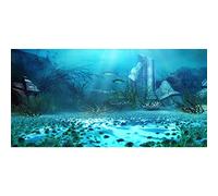 Aoihrraan 2,2x1m Underwater World Backdrop Seabed Aquarium Aquatic Plants Fish Abandoned Ancient Palace Photography Background Mermaid Theme Birthday Party Banner Fish Tank Decor Photo Studio Props