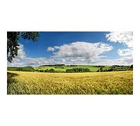 Aoihrraan 2,5x1,2m Countryside Farm Field Backdrop Rural Wheat Field Green Grassland Meadow Harvest Spring Summer Natural Landscape Photography Background Kids Adult Photo Booth Shoot Studio Props