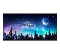Aoihrraan 2,5x1,2m Starry Night Forest Backdrop Universe Galaxy Stars Moon Sky Nebula Nightscape Milky Way Nature Landscape Photography Background Holiday Outdoor Picnic Banner Adult Girl Photo Prop