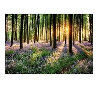 Aoihrraan 2,7x1,8m Violets Forest Backdrop Purple Flowers Woods Sunshine Park Scenery Photography Background Summer Holiday Travel Vacation Party Wedding Shoots Portrait Wallpaper Photo Studio Props