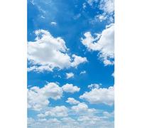 Aoihrraan 2x3m Blue Sky White Clouds Backdrop Heaven View Natural Scenery Photography Background Kids Birthday Party Baby Shower Decoration Girls Boys Adults Artistic Portrait Photo Studio Props