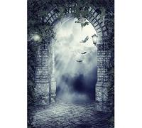 Aoihrraan 2x3m Halloween Backdrop Castle Stone Arch Full Moon Bats Leaves Gloomy Gothic Building Photography Background Horror Theme Party Decor Kids Adults Artistic Portrait Photo Studio Props