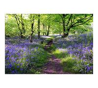 Aoihrraan 3,5x2,5m Lavender Manor Backdrop Purple Flowers Green Trees Spring Forest Park Nature Landscape Photography Background Wedding Shoots Children Adults Artistic Portrait Photo Studio Props