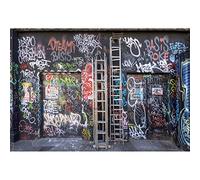 Aoihrraan 3x2,5m Urban Street Graffiti Wall Backdrop Paint Drawing Ladder Abandoned Building Photography Background 80'S 90'S Hip Hop Style Party Club Rock Adults Art Portrait Photo Studio Props