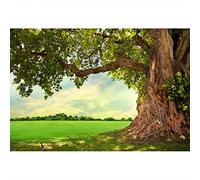Aoihrraan 3x2m Huge Tree Backdrop Spring Park Meadow Countryside Old Tree Rural Scenery Field Photography Background Fish Tank Decor Outdoor Picnic Baby Kids Adults Portrait Photo Studio Props