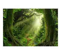 Aoihrraan 3x2m Spring Enchanted Forest Backdrop Jungle Rainforest Old Trees Sunshine Natural Scenery Photography Background Baby Shower Birthday Party Decor Kid Adult Portrait Photo Studio Props