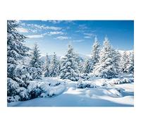 Aoihrraan 7x5ft Snow Landscape Backdrop Pine Tree White Snowland Winter Forest Wonderland Photography Background Christmas Family Outdoor Party Children Adults Portrait Photo Studio Props, 2,2x1,5m