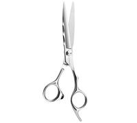 AOLANDUO 6" Hairdressing Scissors-Super Sharp-Offset Design with VG10 Stainless Steel Hair Scissors for for Salon Stylists Beauticians
