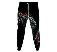 Aoligeinb Men's Dragon 3D Printed Jogger Sweatpants Casual Autumn Streetwear Tracksuit Pant Sport Trousers