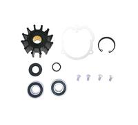 AOLUOER 3857794 Rebuild Service Kit For V//o//l//v//o P//e//n//t//a/O//M//C Pumps 2858847 3851982 3851623 Fits 3851995 3855778