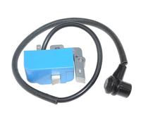 AOLUOER Ignition Coil for E//c//h//o PB-601 PB-602 PB-603 PB-60HT PB-610 PB-620 PB-620H PB-620ST LBB-4200 L//i//t/t//l//e W//o//n/d//e//r SV-2A 15660108361