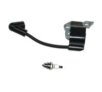 AOLUOER Ignition Coil for R//y//o//b//i RCS3535A RCS3535CA RCS3535CB RCS4040CA RCS4040CB RCS4235B RCS4240B H//o//m//e//l//i//t//e HCS3435,HCS3840A 5131015974