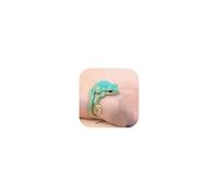 Aonklot Vintage Adjustable Frog Ring Green Tree Frog Cute Animal Jewelry for Women Unique Frogs Accessories Gift, Metal, No Gemstone