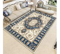 Aoojlo Artistic Traditional Area Rug Soft Short Pile Rug Large Rugs Anti-Slip washable Carpet Mat 3d print pattern Modern Floor Traditional for Living Room Bedroom Hallway Rugs European,60×90cm
