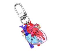 AOOOWER Anatomical Heart Keychain Pendant Educational Keyrings Accessory for Physical Students and Healthcare