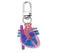 AOOOWER Anatomical Heart Keychain Pendant Educational Keyrings Accessory for Physical Students and Healthcare