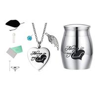 AOOOWER Delicate Colorful Pet Ashes Heart Shape Necklace and Cinerary Caskets Safeguards Preciously Memory for Dead Cats