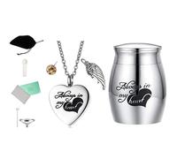 AOOOWER Delicate Colorful Pet Ashes Heart Shape Necklace and Cinerary Caskets Safeguards Preciously Memory for Dead Cats
