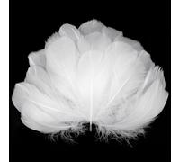 AOOTE 350pcs Feathers for Crafts,6-12cm Feathers Bulk,White Feathers,Natural Goose Feathers,Decorative Feathers Set for DIY Dream Catcher,Gift Box Filling,Wedding,Party Decorations Supplies