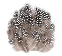 AOOTE Natural Speckled Feathers, 100Pcs Brown Guinea Fowl Feathers, 4.5-10cm Natural Feather Bulk, Speckled Craft Feather for DIY Dream Catcher Crafts, Costumes, Hats, Handicrafts, Halloween, DIY