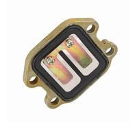 Aoresac Sturdy Intake Reed Valve, for PW50 1981-2009, Made with High Strength Materials, Original Direct Replacement for, Stable Performance and Flexible