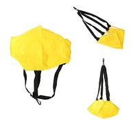 Aoresac Swim Trainer Strength Training Swimming Harness, Turns a Home Pool Into a Professional Sized, Great Way to Improve All Swimming Strokes and General Fitness, The Swim Sports