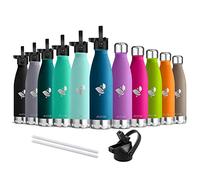 AORIN Vacuum Insulated Stainless Steel Water Bottle - 500ml - 24 hrs Cooling & 12 hrs Keep Warm - BPA Free - Mental Water Bottle for Work, Gym, Travel, Sports