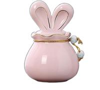 Aorom Pet Urns Hair Teeth Bone Joints Collection Memorial Bottle Death Memorial Rabbits Cats and Dogs Cremation Urns (Size : Pink)